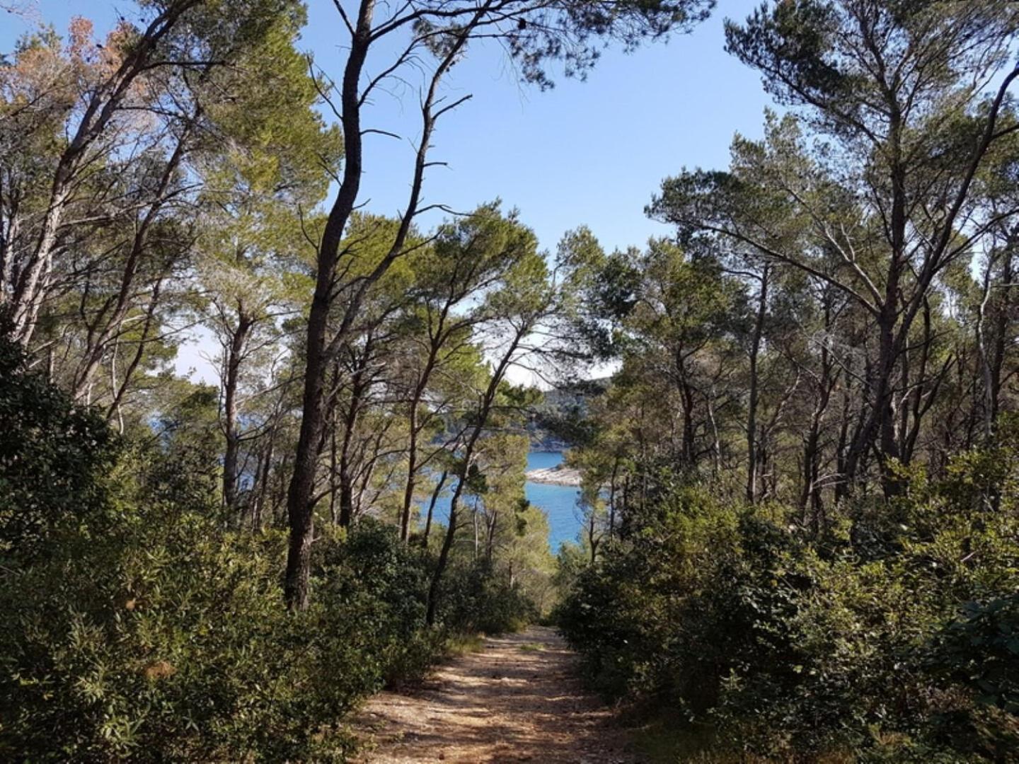 House Villa Bistrana Vela Luka Exteriér fotografie